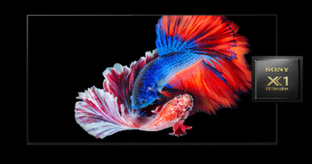 Sony ra mắt TV OLED 4K có kích thước ‘đi ngược lại xu hướng’ Sony ra mắt TV OLED 4K có kích thước ‘đi ngược lại xu hướng’