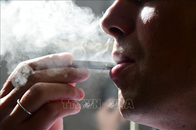 Phát hiện vi khuẩn đường ruột có thể làm giảm lượng nicotine trong cơ thể