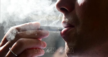 Phát hiện vi khuẩn đường ruột có thể làm giảm lượng nicotine trong cơ thể Phát hiện vi khuẩn đường ruột có thể làm giảm lượng nicotine trong cơ thể