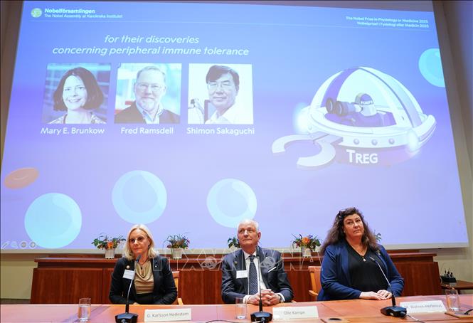 Nobel 2025: Sự kỳ diệu của 'lá chắn an ninh sinh học'