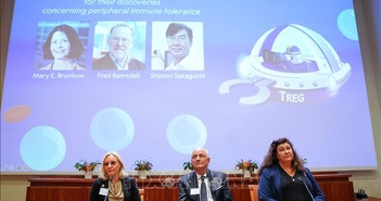 Nobel 2025: Sự kỳ diệu của 'lá chắn an ninh sinh học' Nobel 2025: Sự kỳ diệu của 'lá chắn an ninh sinh học'
