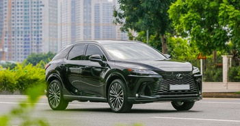 Lexus RX 350h Premium - xe sang chăm chủ Lexus RX 350h Premium - xe sang chăm chủ