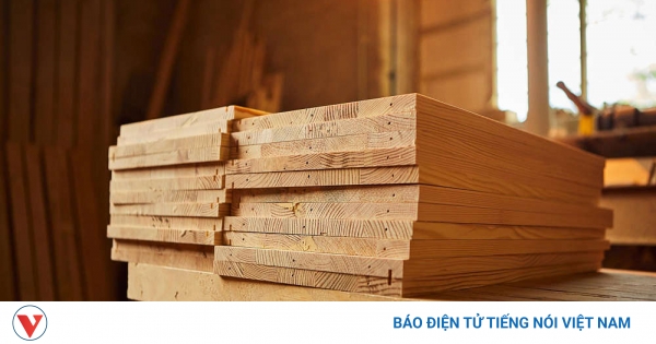 Loại gỗ siêu bền thách thức cả thép và bê tông
