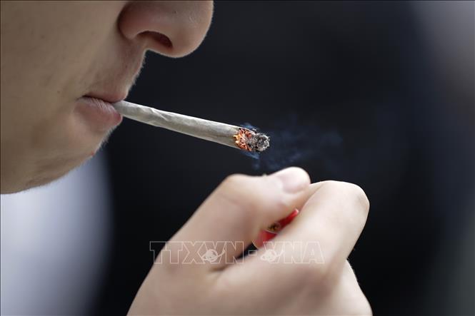 Chuyên gia kêu gọi Anh cấm đầu lọc thuốc lá để bảo vệ sức khỏe và môi trường