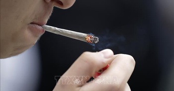 Chuyên gia kêu gọi Anh cấm đầu lọc thuốc lá để bảo vệ sức khỏe và môi trường Chuyên gia kêu gọi Anh cấm đầu lọc thuốc lá để bảo vệ sức khỏe và môi trường