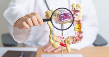 Phát triển máy in sinh học siêu nhỏ có thể chữa lành loét dạ dày Phát triển máy in sinh học siêu nhỏ có thể chữa lành loét dạ dày