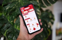 Theo dõi phạt nguội, quản lý xe đứng tên trên VNeTraffic Theo dõi phạt nguội, quản lý xe đứng tên trên VNeTraffic
