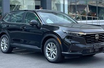 Nên chọn Lynk & Co 01 Hyper hay cố mua CR-V L? Nên chọn Lynk & Co 01 Hyper hay cố mua CR-V L?