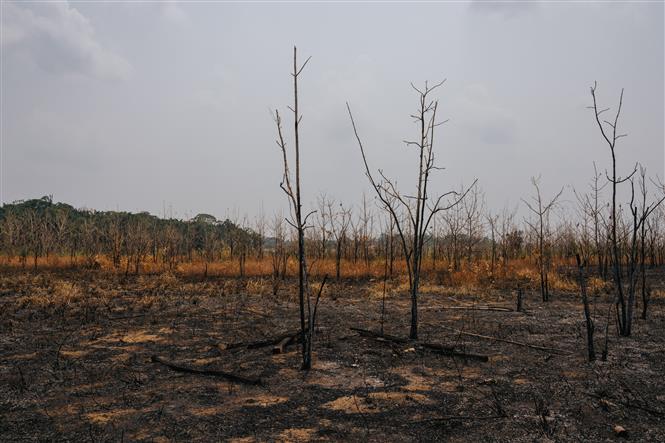 Mối liên hệ giữa cân bằng nước ngầm và phục hồi hệ sinh thái chống sa mạc hóa