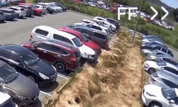 Ống xả nóng gây cháy cỏ khô, gần 30 ôtô hư hỏng