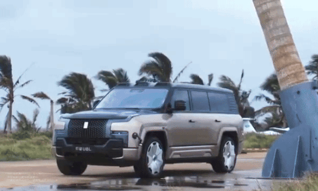 Hãng xe Trung Quốc cho cây đè trúng ôtô thử độ bền