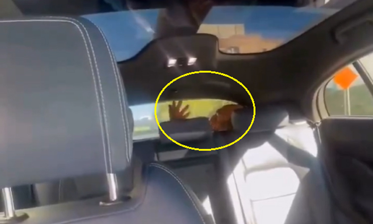 Người mẹ sốc khi thấy người lạ trong robotaxi đón con gái