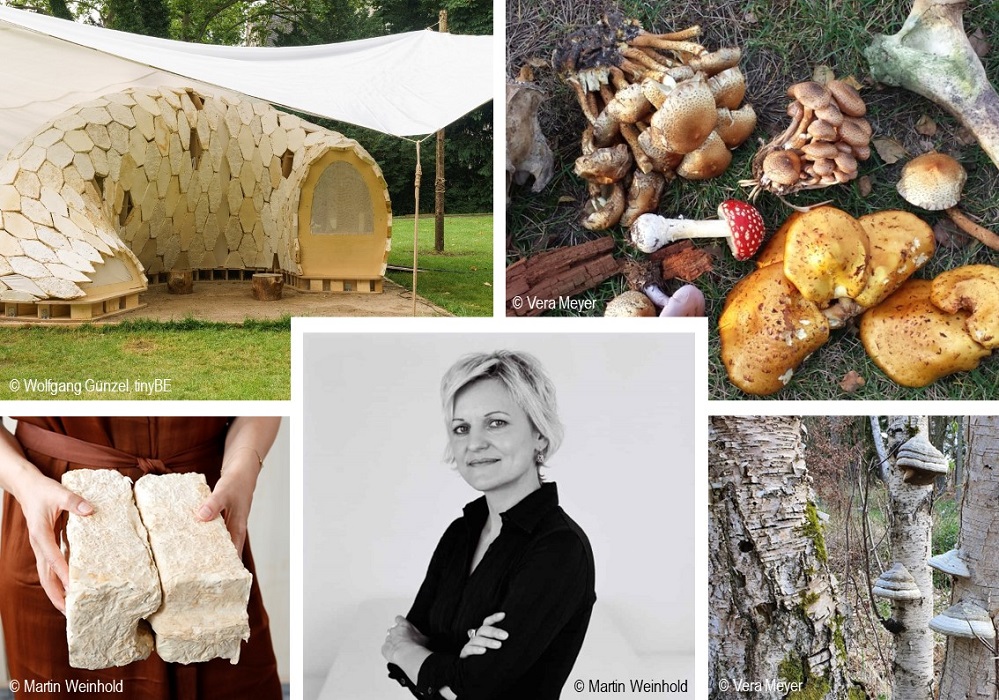 Nghiên cứu xây dựng nhà ở từ vật liệu nấm