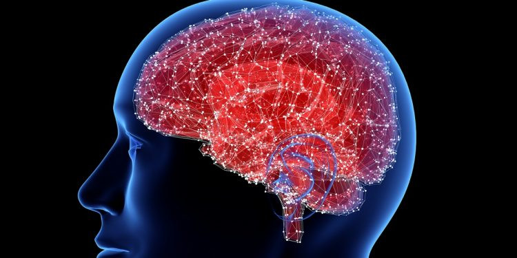 Cơ chế ‘dọn rác’ của não bộ có thể vô tình làm lan rộng bệnh Alzheimer