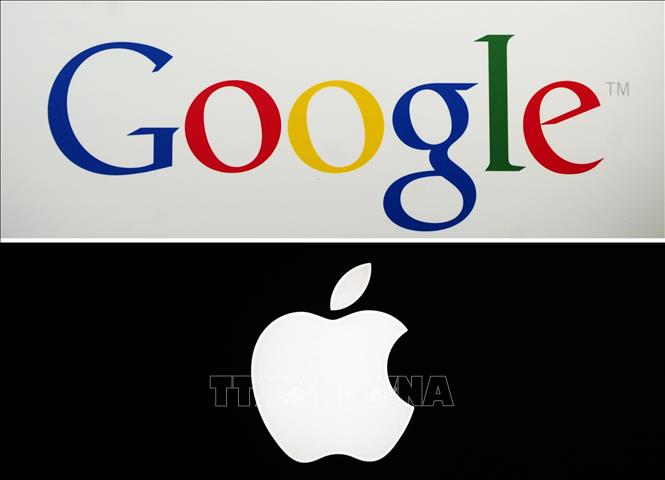 Apple bắt tay Google để 'tăng tốc' trong cuộc đua AI
