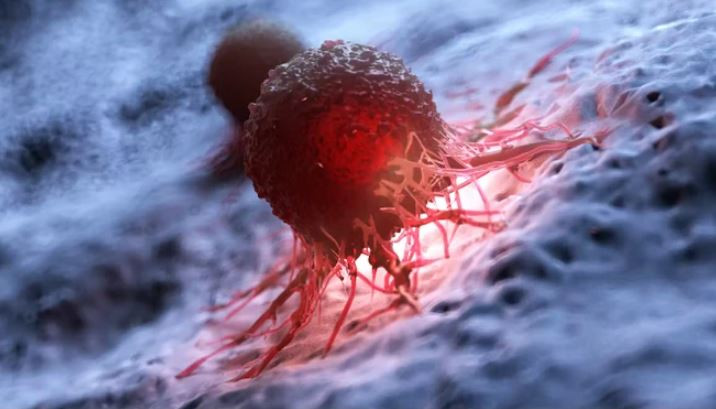 Đột phá công nghệ 'loại bỏ' protein gây bệnh trong cơ thể sống