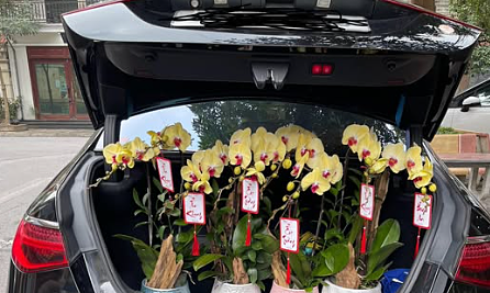 Để cốp xe mở khi đang di chuyển có bị phạt?