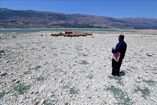 Hạn hán có thể thúc đẩy vi khuẩn kháng kháng sinh