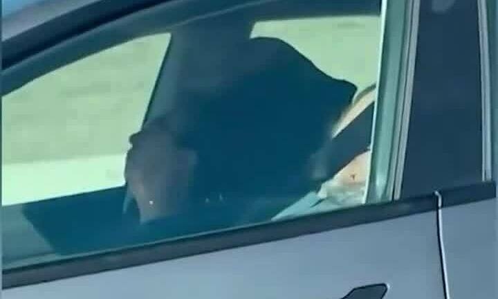 Tài xế xe Tesla nằm ngủ mặc ôtô tự lái trên cao tốc