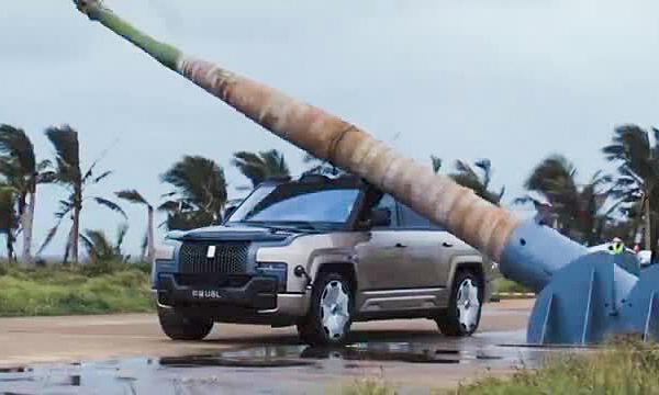 Hãng xe Trung Quốc cho cây đè trúng ôtô thử độ bền