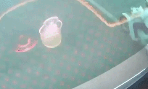 Cô gái 'biến mất' trước đầu xe tải