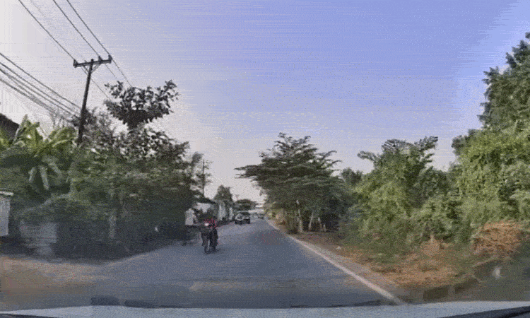 Ôtô suýt lao vào gốc cây vì tránh xe đạp đi kiểu đường làng