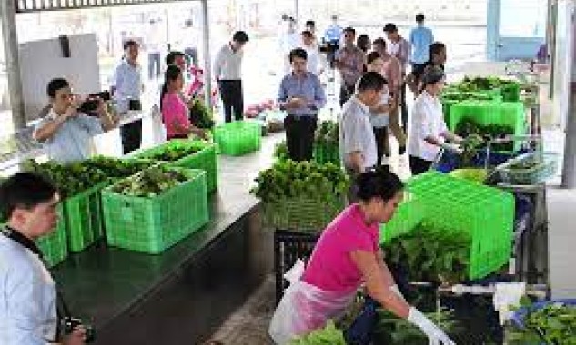 Hà Nội hỗ trợ đưa sản phẩm nông nghiệp lên sàn thương mại điện tử