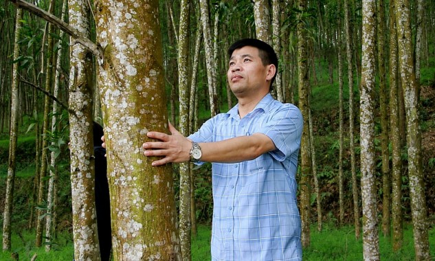 Sàn giao dịch carbon: Hạ tầng công nghệ cho kinh tế xanh Nghệ An