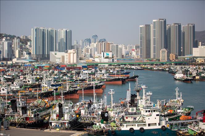 Triển khai dịch vụ một cửa ứng dụng AI tra cứu đất đai tổ tiên