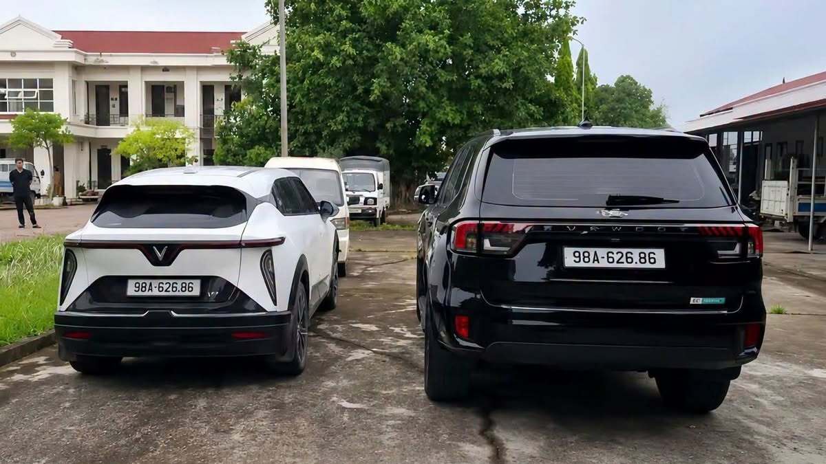 Phải làm sao khi bị xe khác gắn biển số giả vi phạm giao thông?