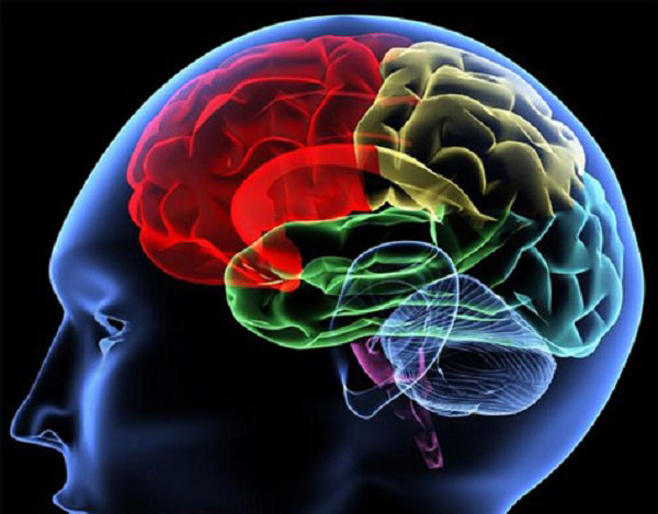 Công nghệ mới hé lộ ‘thủ phạm bí ẩn’ gây bệnh Alzheimer từ giai đoạn sớm