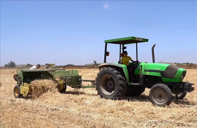 Cảnh báo nguồn gây ô nhiễm từ lốp xe
